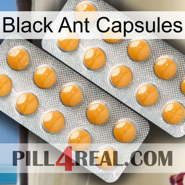 Black Ant Capsules levitra2.jpg